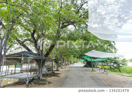 柬埔寨洞裡巴蒂湖岸邊排列著一排排休息小屋。 柬埔寨洞裡巴蒂湖岸邊排列著一排排休息小屋。 134281479