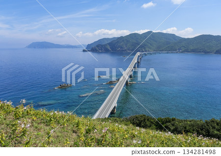 Koshiki Bridge viewed from Torinosuyama Observatory on Shimokoshikijima Island 134281498