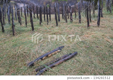 吉野裡遺址的阿巴蒂斯 134281512