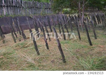 Abatis of Yoshinogari ruins 134281513