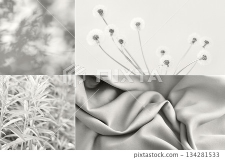 Collage showing different textures of fabric, dandelions, shadows on the wall, plants in a fashionable color. Demonstrating the colors of 2026 - Cloud Dancer. Collage showing different textures of fabric, dandelions, shadows on the wall, plants in a fashionable color. Demonstrating the colors of 2026 - Cloud Dancer. 134281533