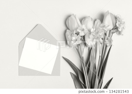 Demonstrating the colors of 2026 - Cloud Dancer. Gray envelope with clean white sheet of paper for your text and spring flowers tulips on white background. Invitation to the holidays. Flat lay. Demonstrating the colors of 2026 - Cloud Dancer. Gray envelope with clean white sheet of paper for your text and spring flowers tulips on white background. Invitation to the holidays. Flat lay. 134281543