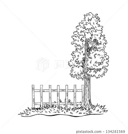 A tree by a wooden fence. Black and white hand-drawn vector graphics. An element of a rural landscape. Perfect for making postcards, banners, flyers, posters, labels, and more. A tree by a wooden fence. Black and white hand-drawn vector graphics. An element of a rural landscape. Perfect for making postcards, banners, flyers, posters, labels, and more. 134281569