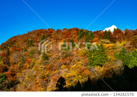 Autumn leaves in Ashizu Valley, Chizu Town, Yazu District, Tottori Prefecture Autumn leaves in Ashizu Valley, Chizu Town, Yazu District, Tottori Prefecture 134281570
