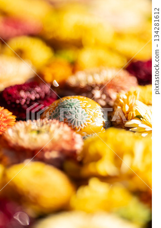 Flower water fountain at Gyoda Hachiman Shrine in Saitama Prefecture 134281612