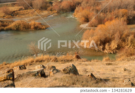 herd of sheep grazing on river herd of sheep grazing on river 134281629