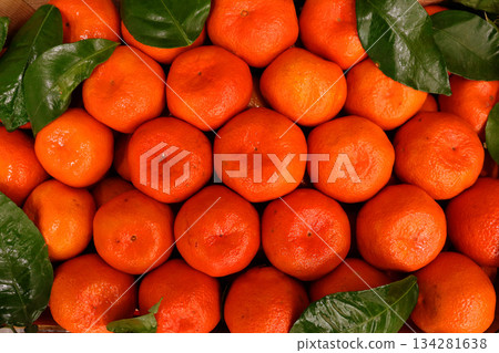 tangerines with leaves tangerines with leaves 134281638