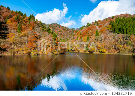 Autumn foliage at Mitaki Dam Lake in Ashizu Valley, Chizu Town, Yazu District, Tottori Prefecture Autumn foliage at Mitaki Dam Lake in Ashizu Valley, Chizu Town, Yazu District, Tottori Prefecture 134281719
