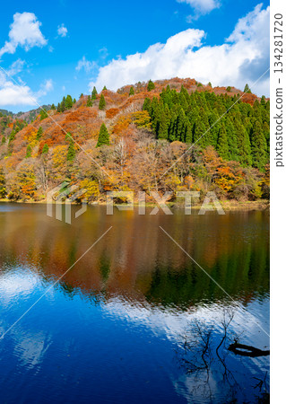 鳥取縣八津郡智頭町蘆津溪谷三瀧水壩湖的紅葉 鳥取縣八津郡智頭町蘆津溪谷三瀧水壩湖的紅葉 134281720
