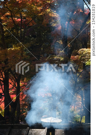 Fireplace smoke and chimney Fireplace smoke and chimney 134281819