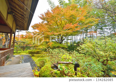 Autumn leaves of Hohsen-in Autumn leaves of Hohsen-in 134282085
