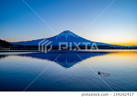 [靜岡縣]冬季的狸湖日出和富士山 134282417