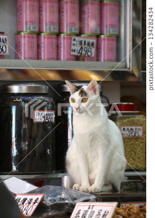 A cat stands guard on top of luxury ingredients for sale at a dried goods store in De Voeux Road West, Hong Kong. A cat stands guard on top of luxury ingredients for sale at a dried goods store in De Voeux Road West, Hong Kong. 134282434