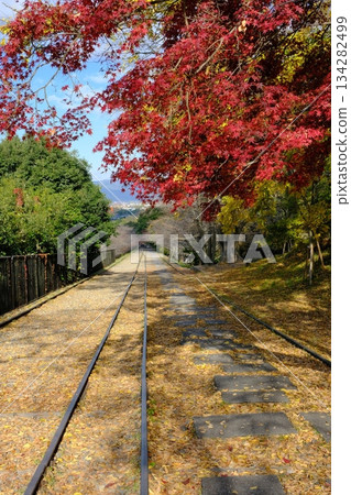 Autumn scenery of the Incline 134282499