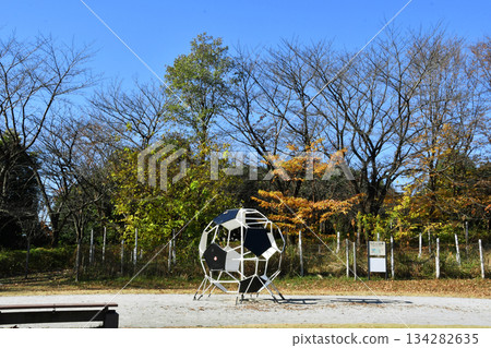 埼玉體育場 2002 公園_14 埼玉體育場 2002 公園_14 134282635
