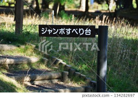 Ono Shiosai Hamanasu Park_44 134282697