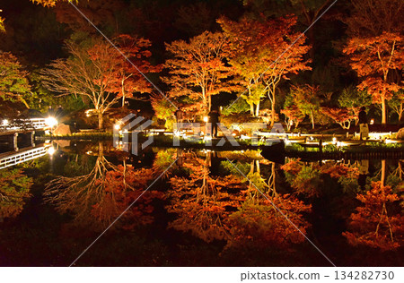 The beauty of illuminated autumn leaves 134282730