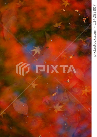 Image material of autumn leaves reflected on the water surface and fallen leaves Image material of autumn leaves reflected on the water surface and fallen leaves 134282807