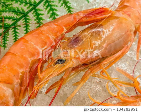海鮮區的阿根廷紅蝦 134282951