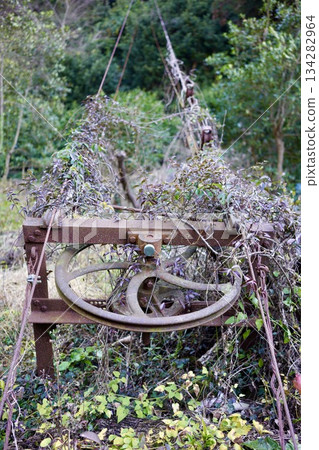 森林中破敗的設施 森林中破敗的設施 134282964