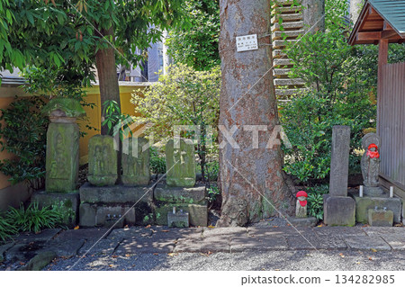 Chiseiji Temple (Itabashi) 134282985