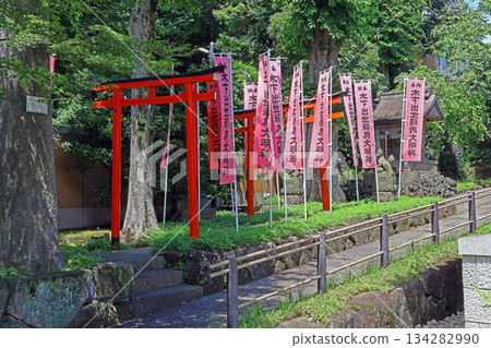 智成寺(板橋) 智成寺(板橋) 134282990