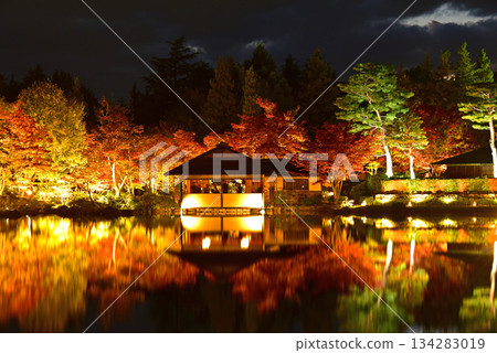 The beauty of illuminated autumn leaves The beauty of illuminated autumn leaves 134283019
