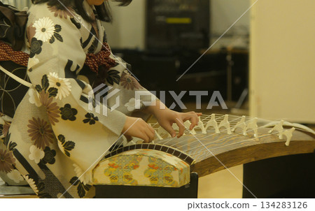 13 stringed harp 134283126