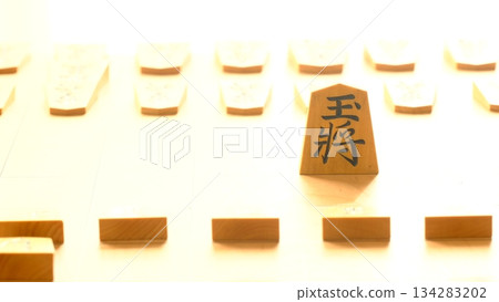 一幅站立的將棋王像 一幅站立的將棋王像 134283202