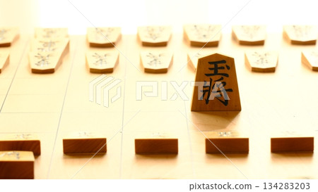 Image of a shogi king standing Image of a shogi king standing 134283203