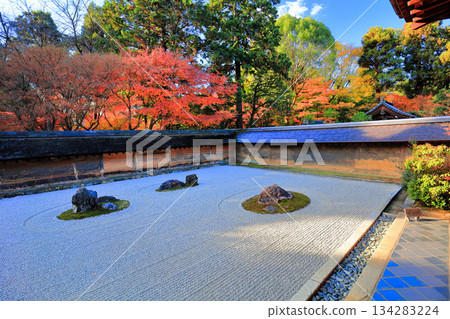 [京都府]龍安寺的石庭和紅葉 134283224
