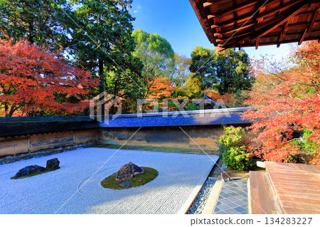 [Kyoto Prefecture] Ryoanji Temple's rock garden and autumn leaves 134283227