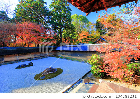 [京都府]龍安寺的石庭和紅葉 134283231