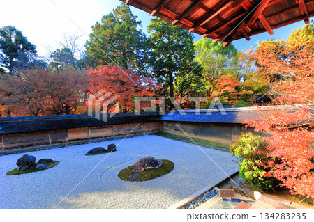 [京都府]龍安寺的石庭和紅葉 134283235