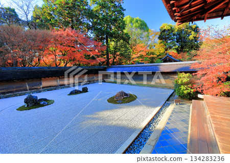 [Kyoto Prefecture] Ryoanji Temple's rock garden and autumn leaves 134283236