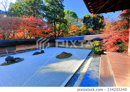 [Kyoto Prefecture] Ryoanji Temple's rock garden and autumn leaves 134283240