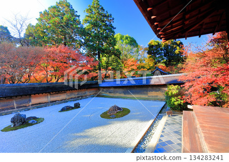 [京都府]龍安寺的石庭和紅葉 134283241