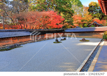[Kyoto Prefecture] Ryoanji Temple's rock garden and autumn leaves 134283247