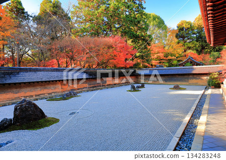 [Kyoto Prefecture] Ryoanji Temple's rock garden and autumn leaves 134283248