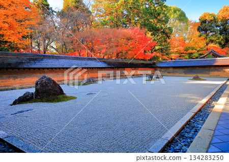 [京都府]龍安寺的石庭和紅葉 134283250