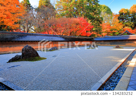 [Kyoto Prefecture] Ryoanji Temple's rock garden and autumn leaves 134283252