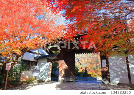 [Kyoto Prefecture] Autumn leaves at the Sanmon Gate of Ryoanji Temple 134283290