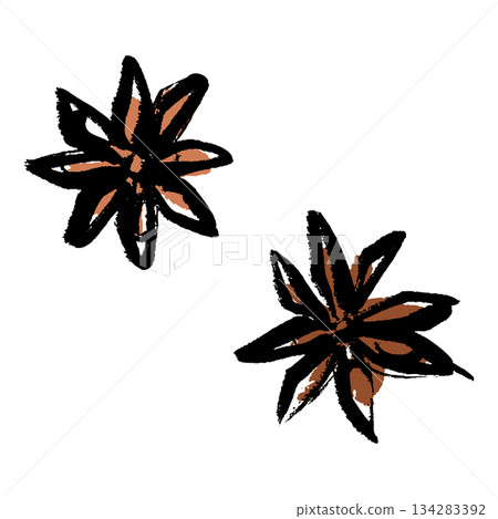 Brush-touched illustration of star anise 134283392