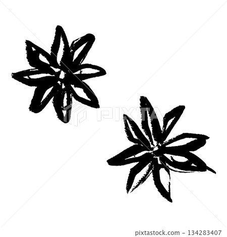 八角茴香的筆觸插圖 八角茴香的筆觸插圖 134283407