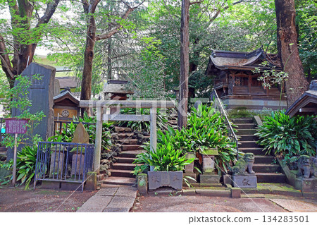 冰川町冰川神社（板橋） 134283501
