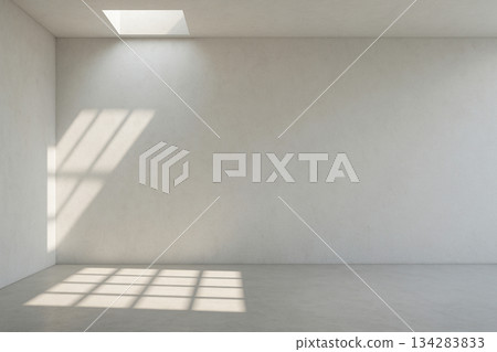 A white concrete space filled with light from the skylight and shadows from the latticework 134283833