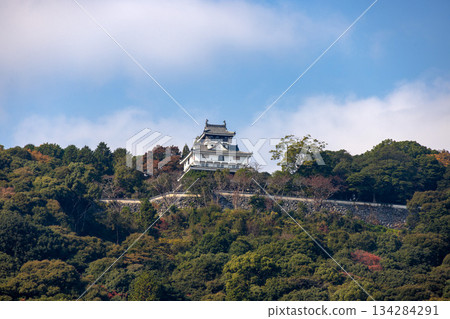 岩國城坐落在綠樹環繞的山上。 134284291