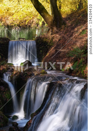 Shiraito Falls 134284410