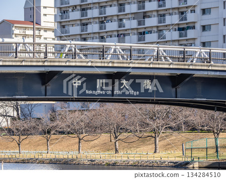 The name of the bridge "Nakagawa Ohashi" spanning the old Nakagawa River The name of the bridge "Nakagawa Ohashi" spanning the old Nakagawa River 134284510