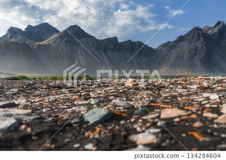 The Stokksnes Peninsula features sharp mountain peaks, a black sand beach with colorful stones, green grass, and a partly cloudy blue sky. 134284604
